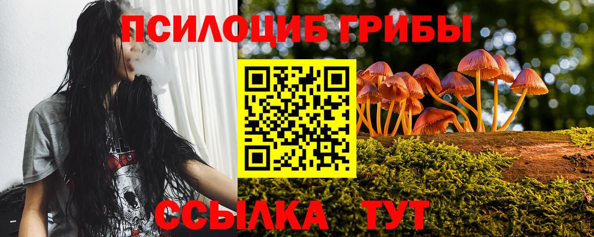Волхов  Галлюциногенные грибы Psilocybe  Вход с VPN 