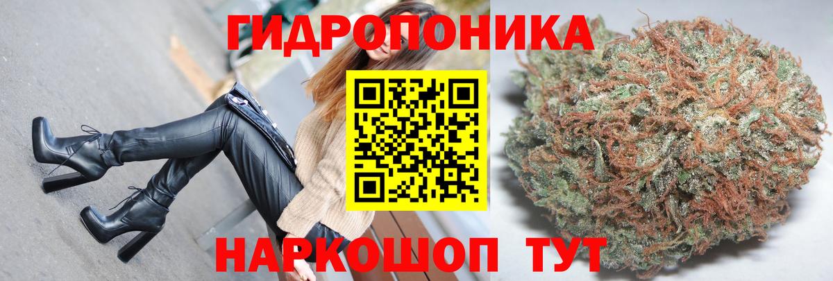 Канабис индика Волхов
